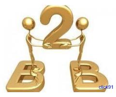 B2B Marketing Websites